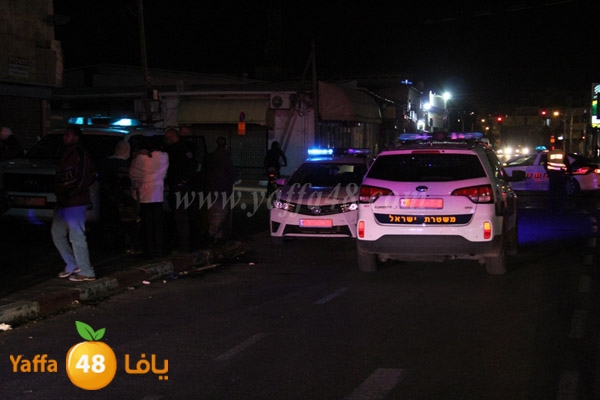 shejar aretreeien (11).JPG